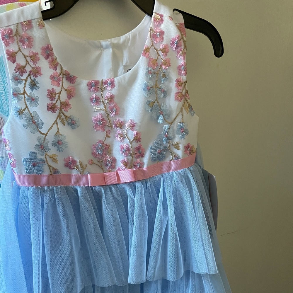 Embroidered Floral Tiered Dress (NWT)